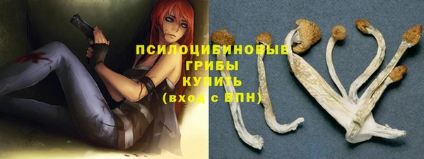 2c-b Осташков