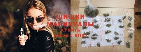 гашик Каменногорск
