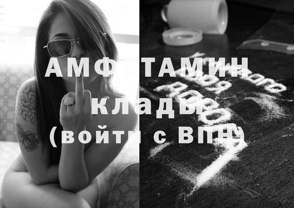 тгк Ельня