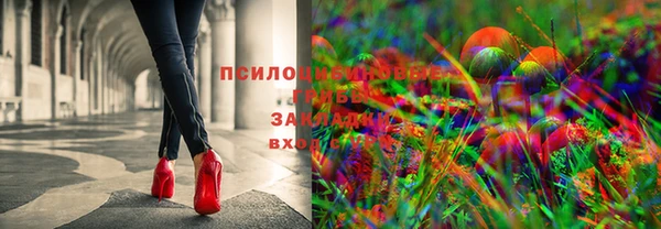 2c-b Осташков