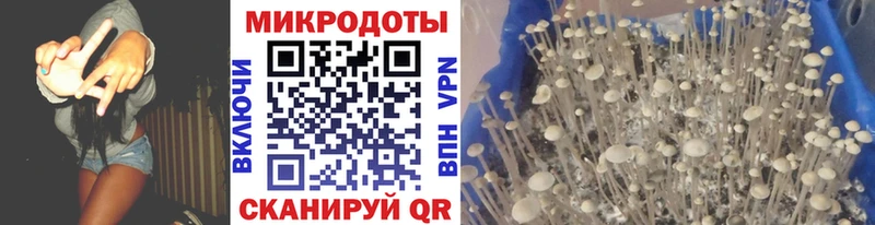 Галлюциногенные грибы прущие грибы наркотики Армянск